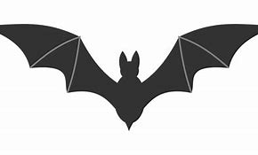 Image result for Cursive Bat