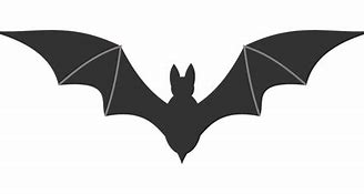 Image result for Bumblebee Sized Bat