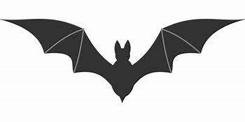 Image result for Bat Symbol Transparent Logo