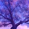Image result for Purple iPhone 5S Wallpaper