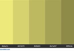 Image result for Color Light Yellow in Smartphone