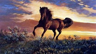 Image result for Cool Galaxy Horse Backgrounds