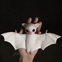 Image result for White Bat Stuffed Animal