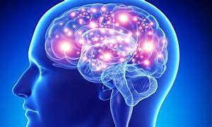 Image result for Strees Brain
