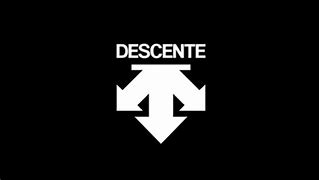 Image result for Descente Logo
