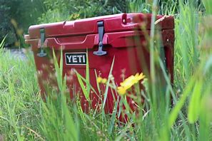 Image result for Yeti Tundra 35 Cooler
