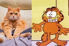 Image result for Galaxy S3 Case Garfield The Cat