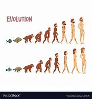 Image result for Funny 6 Step Evolution