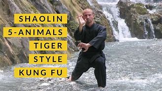 Image result for Tiger Kung Fu Kick