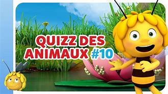 Image result for Dessin Quizz