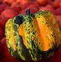 Image result for Apples and Pumpkins Activities
