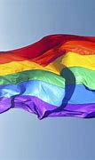 Image result for Rainbow Pride Pictures
