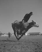 Image result for Cowboy Riding Horse