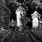 Image result for Cemetery Creepy Graveyard Dark