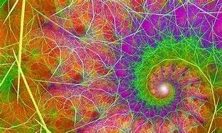 Image result for Hippie Vibes