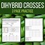 Image result for Dihybrid Cross Practice Worksheet