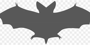 Image result for Transparent Orange Bat
