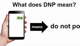 Image result for DNP Meaning