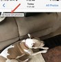 Image result for How Do I Download Burst Mode iPhone Pictures