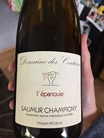 Image result for Coutures Saumur Champigny l'epanouie