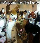 Image result for iFunny Furry Memes