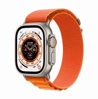 Image result for Apple Watch Titanium Case