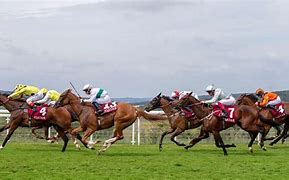 Image result for Glorious Goodwood