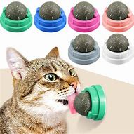 Image result for Catnip Ball Against the Wall