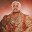 Image result for Early Ric Flair