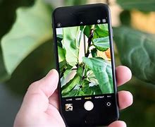 Image result for iPhone SE22 Review
