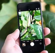 Image result for iPhone SE Camera Reviw