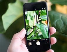 Image result for iPhone SE 2022 Camera Review