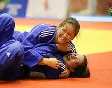 Image result for Judo Fight