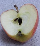 Image result for R Half Pear Half Apple Real