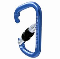 Image result for Large Climbing Carabiner