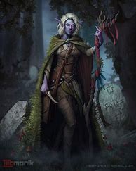Image result for Dnd Druid Drow Elf Male