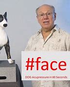 Image result for Outlet Face Dog