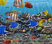 Image result for Free Underwater Screensavers