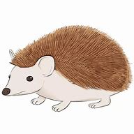Image result for Hedgehog Drawing