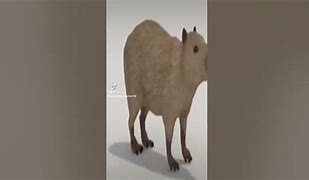 Image result for Capybara Slay