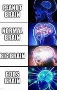 Image result for Same Brain Meme