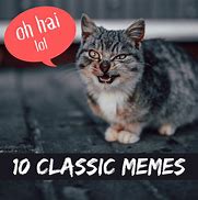Image result for Top Internet Memes Faces