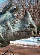 Image result for Bronx Zoo Attraction