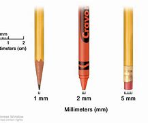 Image result for Things That Are the Size of a Millimeter