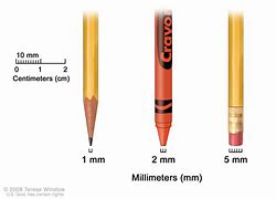 Image result for Things That Are Millimeters