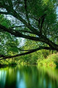 Image result for iphone 3g wallpapers natural