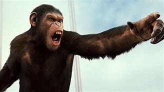 Image result for Humans and Apes Movie