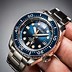 Image result for Seiko Automatic Diver