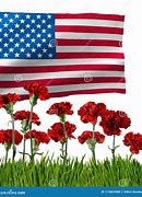 Image result for American Flag Flowers