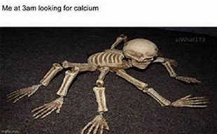 Image result for Skeleton Crawling Meme